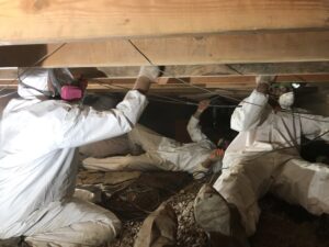 technicians removing mold in crawl space